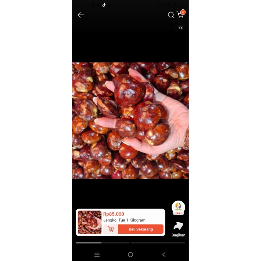 

jengkoltua 1kg besar besar