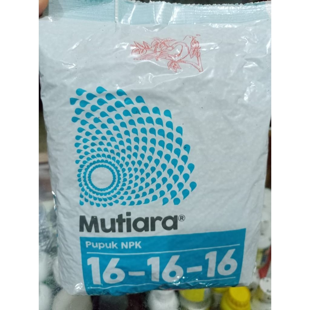 Pupuk NPK MUTIARA 16-16-16 Pupuk Meroke Asli Kemasan Pabrik 1kg