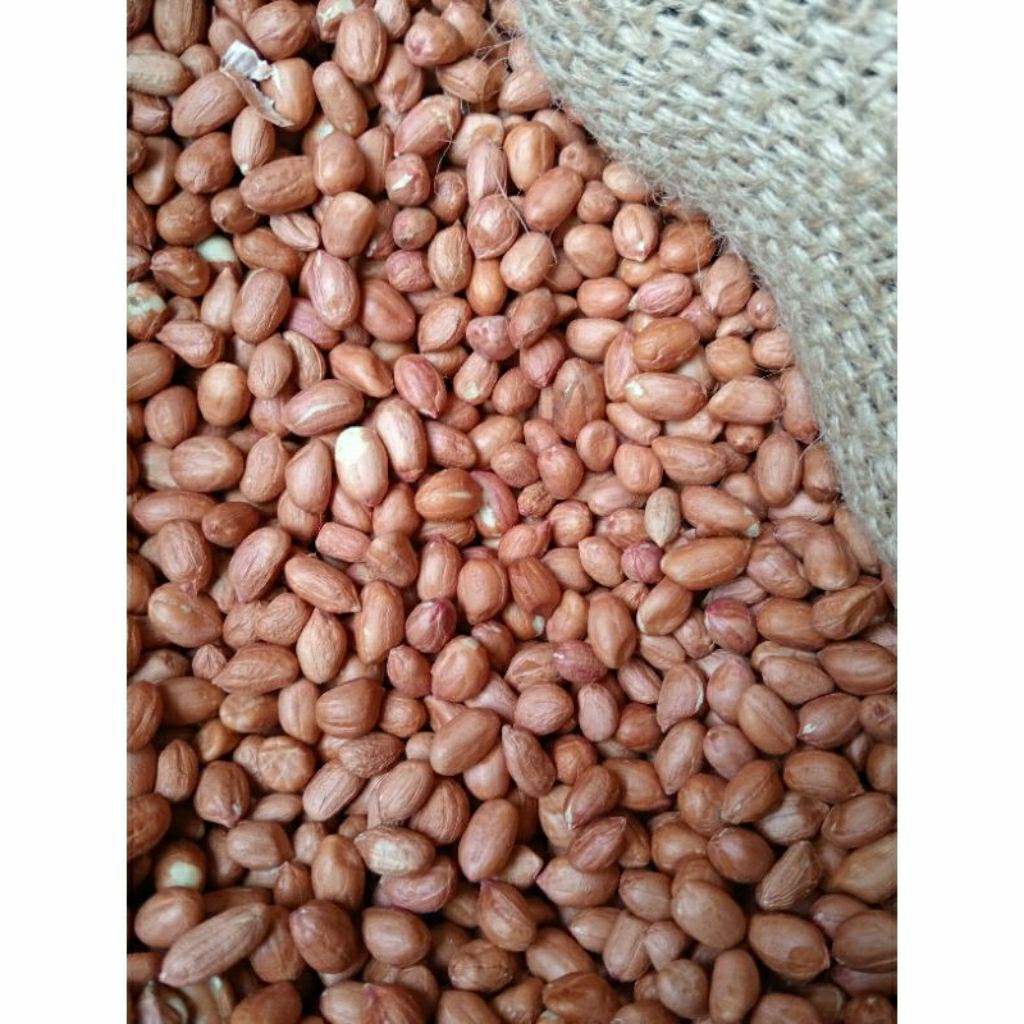 Kacang tanah super 1kg