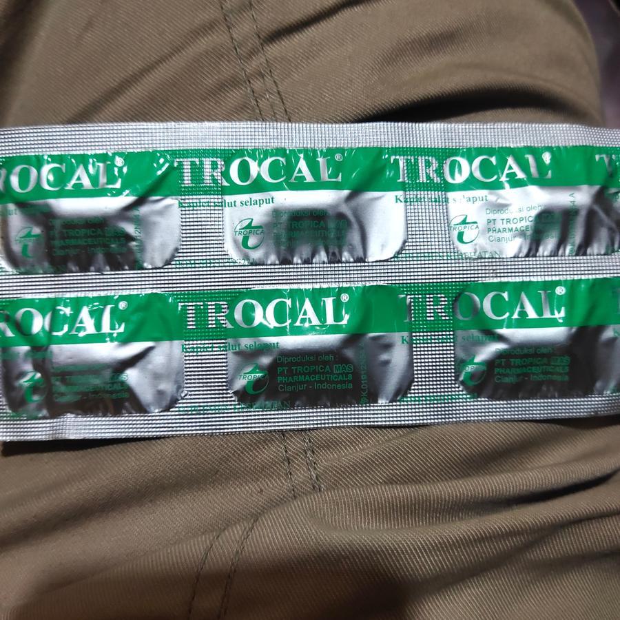 trocal vitamin d kalsium vitamin