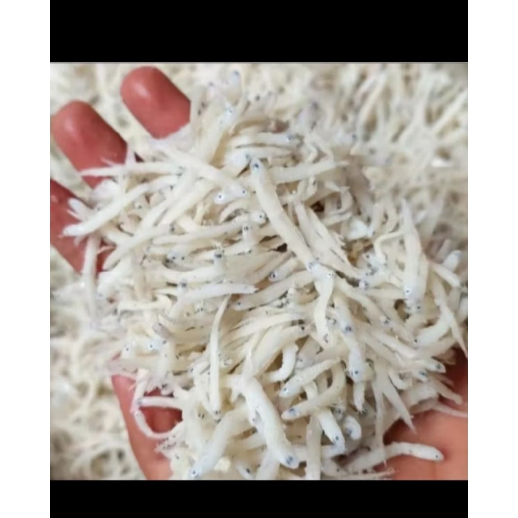 

teri nasi asin/teri medan 250g