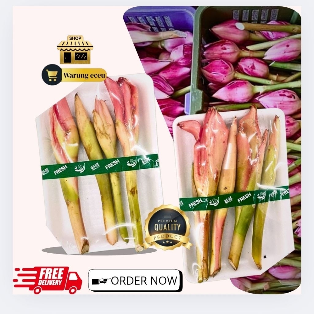 

GAJIAN BIG SALE !!! Bunga kecombrang segar 500 Gram / Bunga honje segar Organik Ya