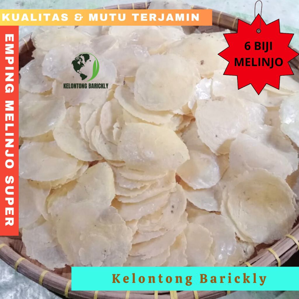 

EMPING MELINJO SUPER EMPING MELINJO MENTAH SUPER BESAR SUPER JUMBO / EMPING MLINJO BESAR 6 BIJI