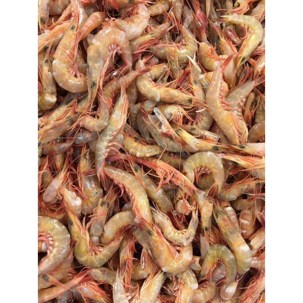 

Udang laut Udang merah/ Udang dogol FRESH SIZE SEDANG 500-1000Gram