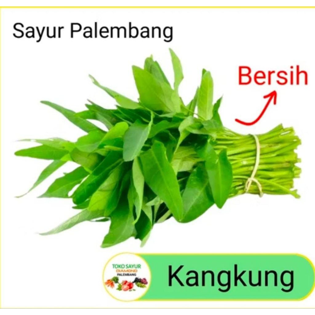

kangkung segar