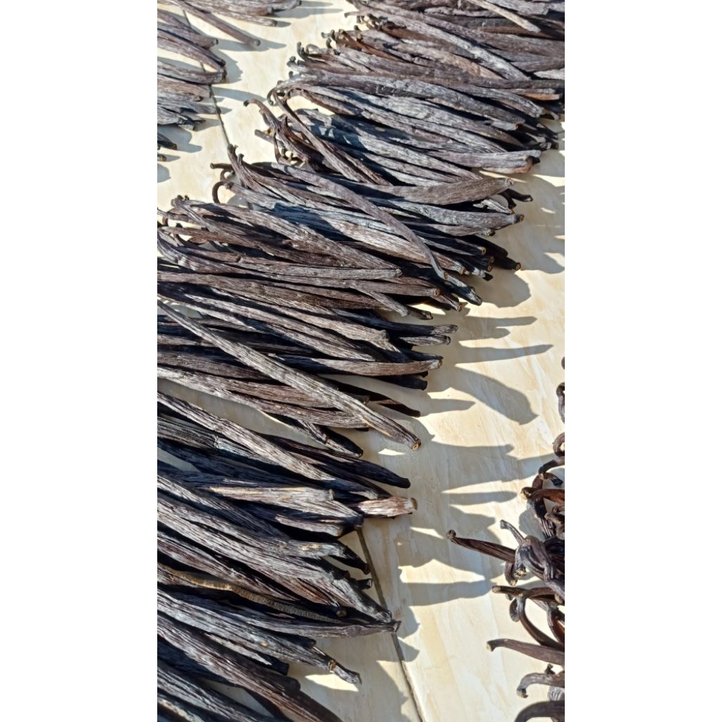 

Vanili Kering Asli Lombok