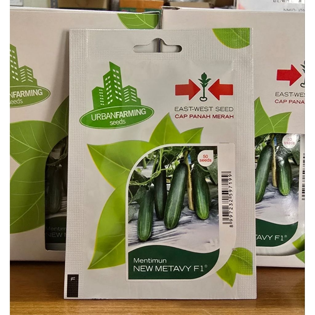 Benih Mentimun NEW METAVY F1