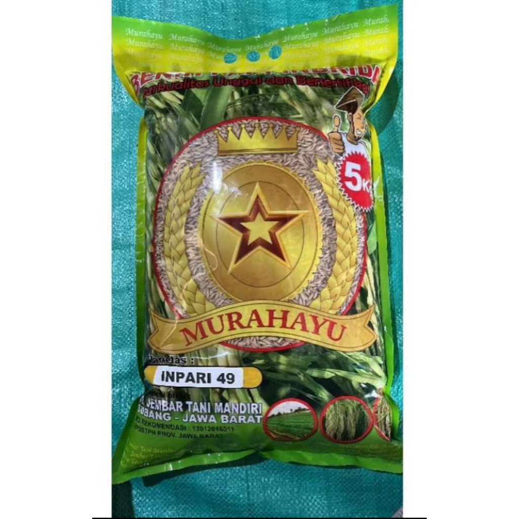 Benih padi Inpari49 jembar