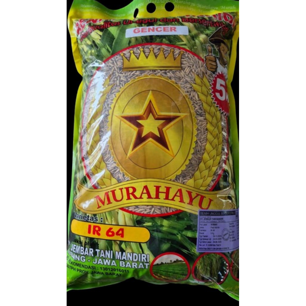 Benih padi IR 64 gencer
