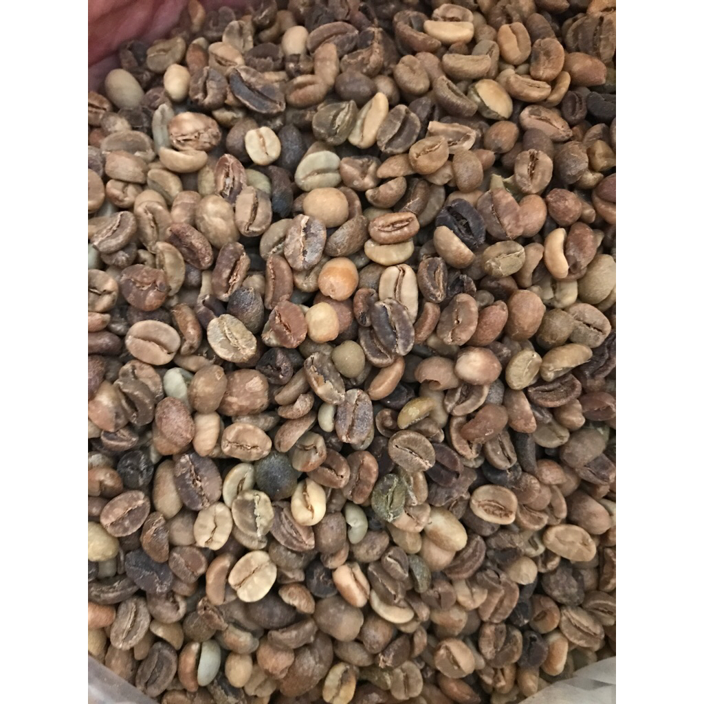 

Green Bean Arabika Gayo Wine Strong G1