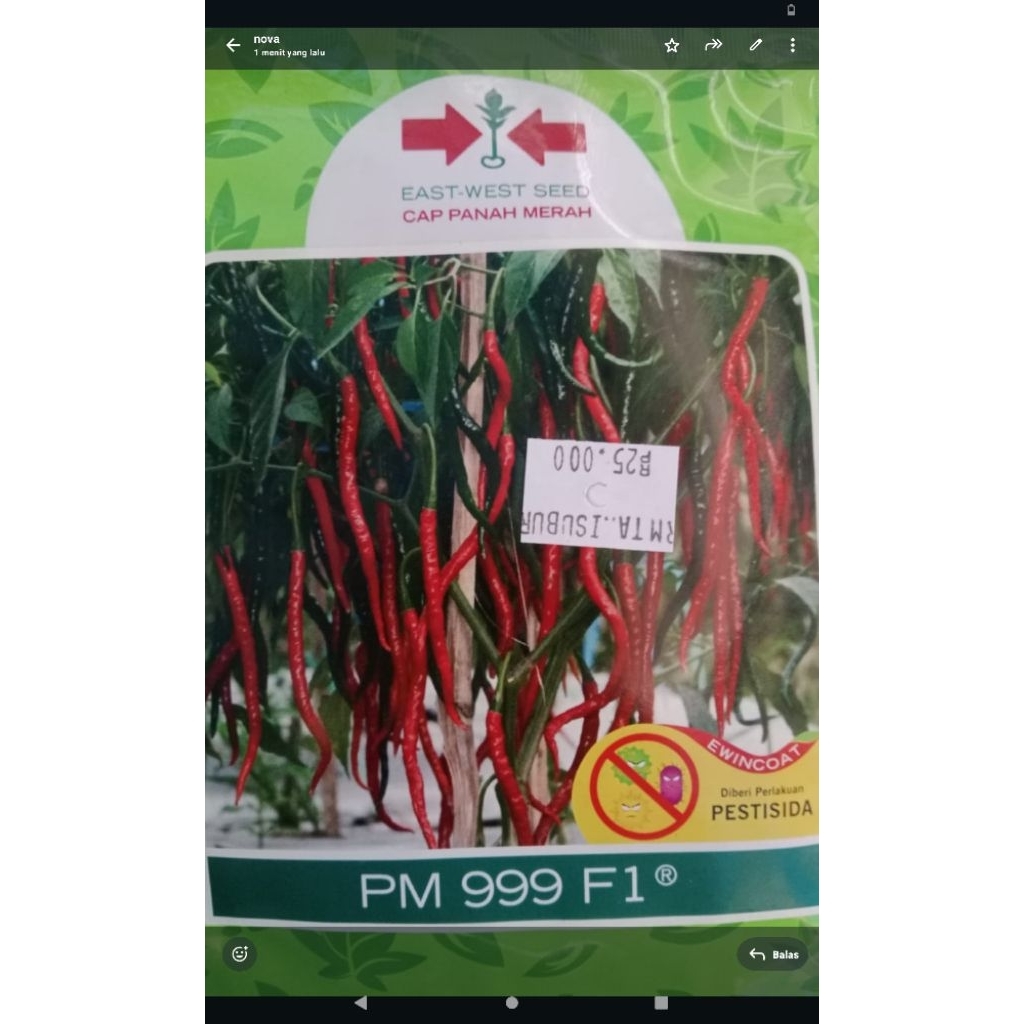 cap Panah Merah PM 999 F1