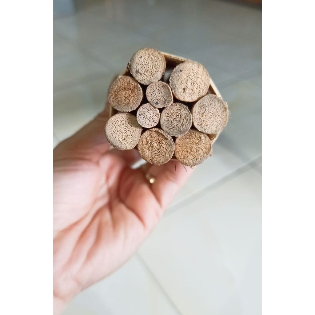 Tokaiaja Rotan Martabak /Rotan Penjalin /Pengaduk Adonan Martabak Manis /Rotan