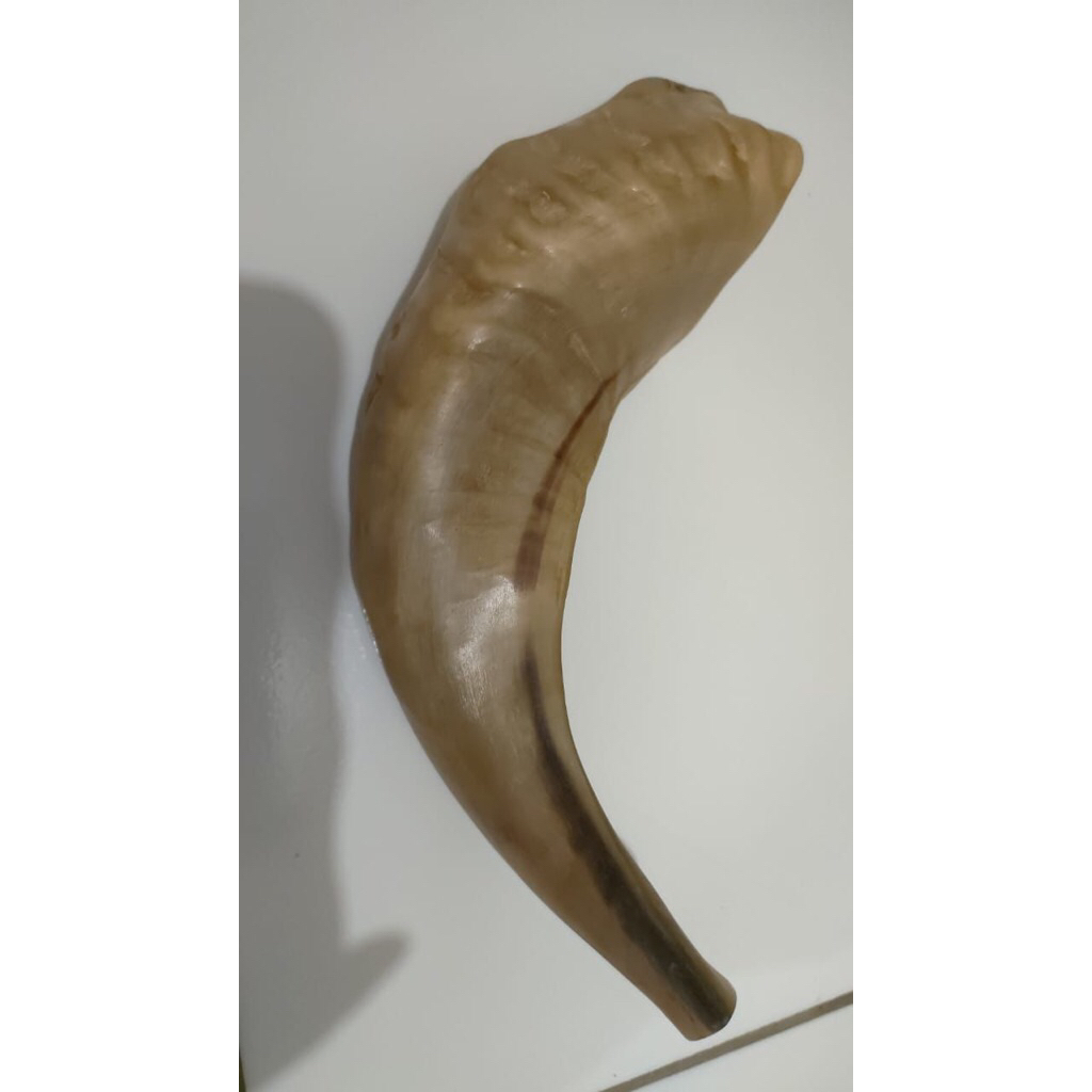 ram shofar ori israel