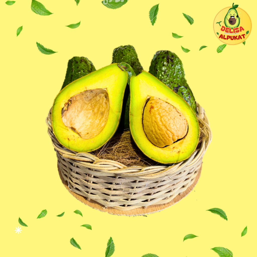 

Alpukat Mentega Grade A Harga Grosir / 50kg