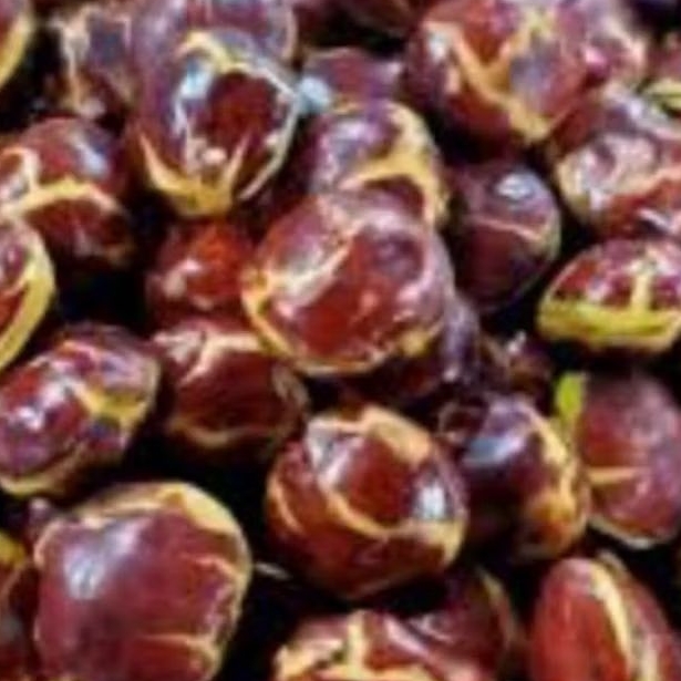 

jengkol super jengkol tua 1kg