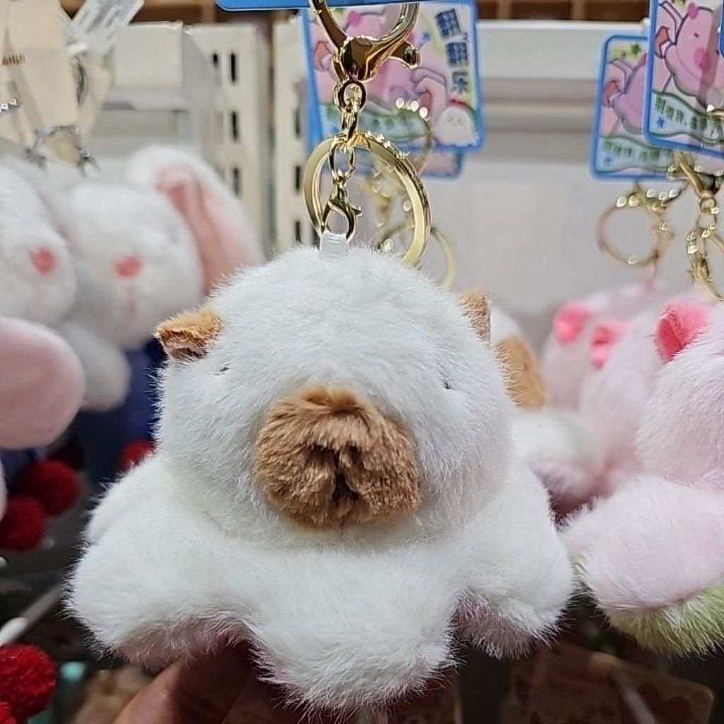 

capibara / salamander