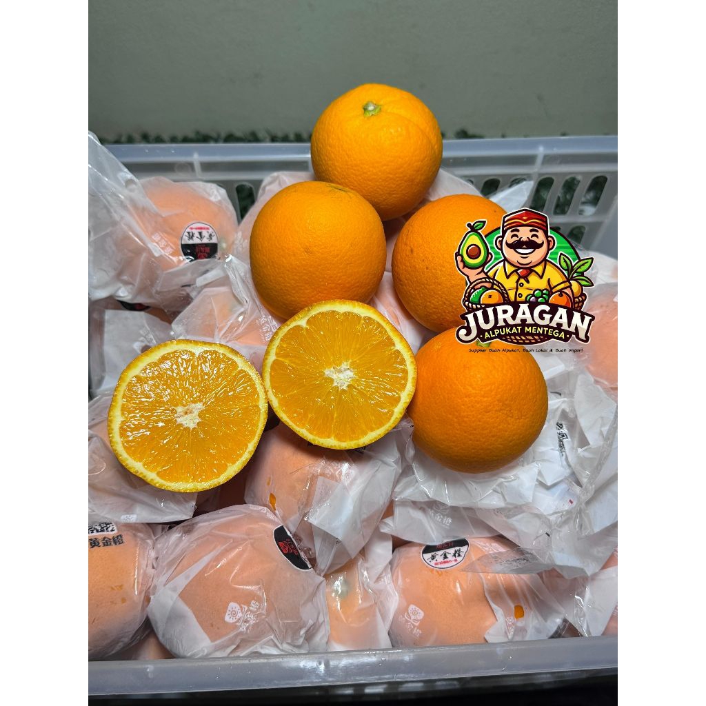 

Jeruk Navel Fresh / Jeruk Orange Navel RRC Fresh