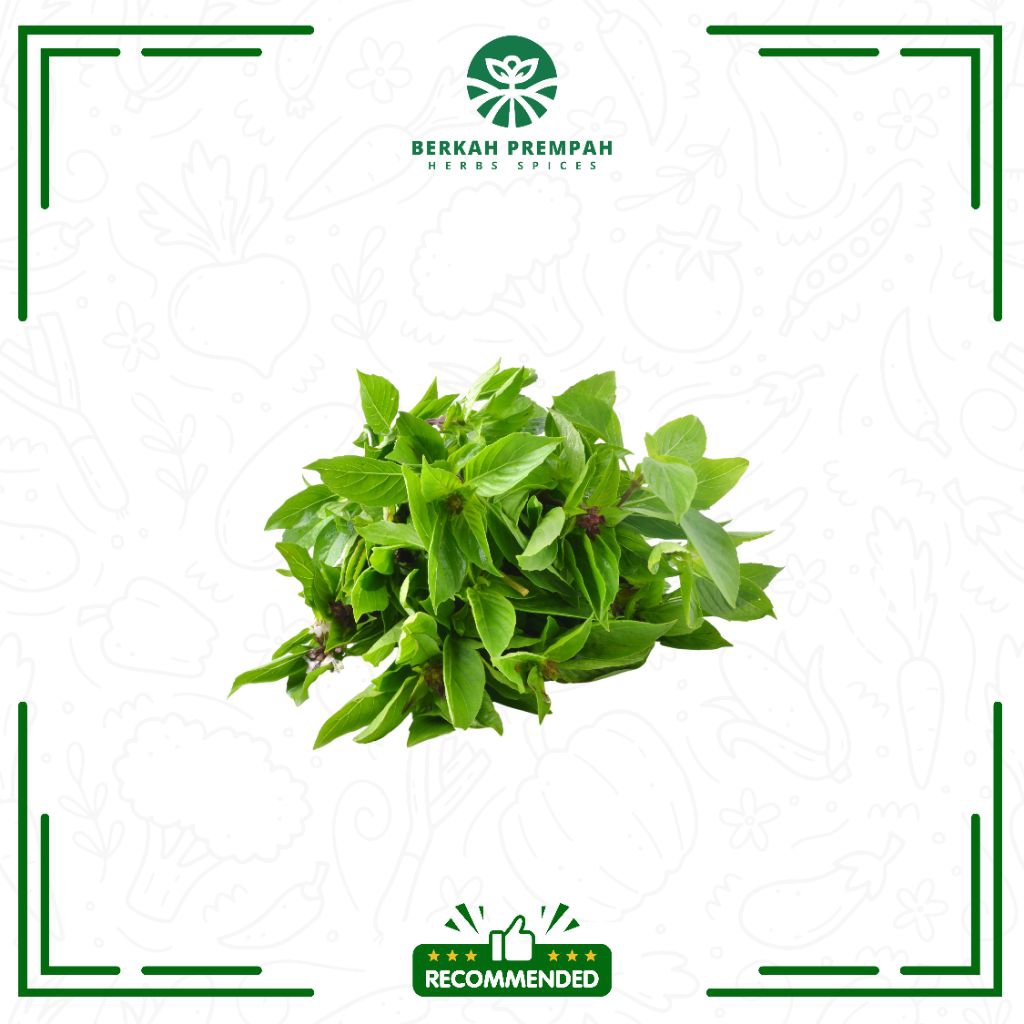 

Daun kemangi segar 1ikat sedang - Berkahprempah