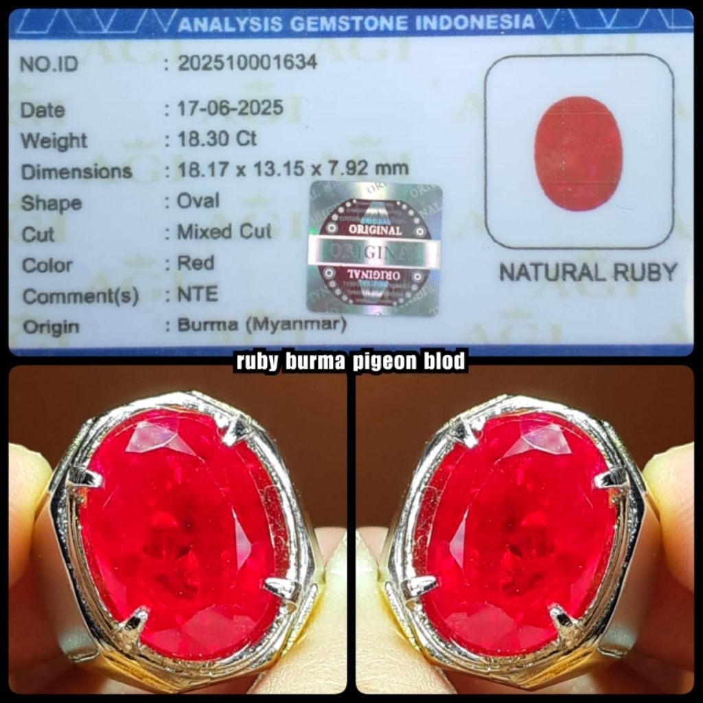 natural permata ruby burma jumbo NTE ( PIGEON BLOD )