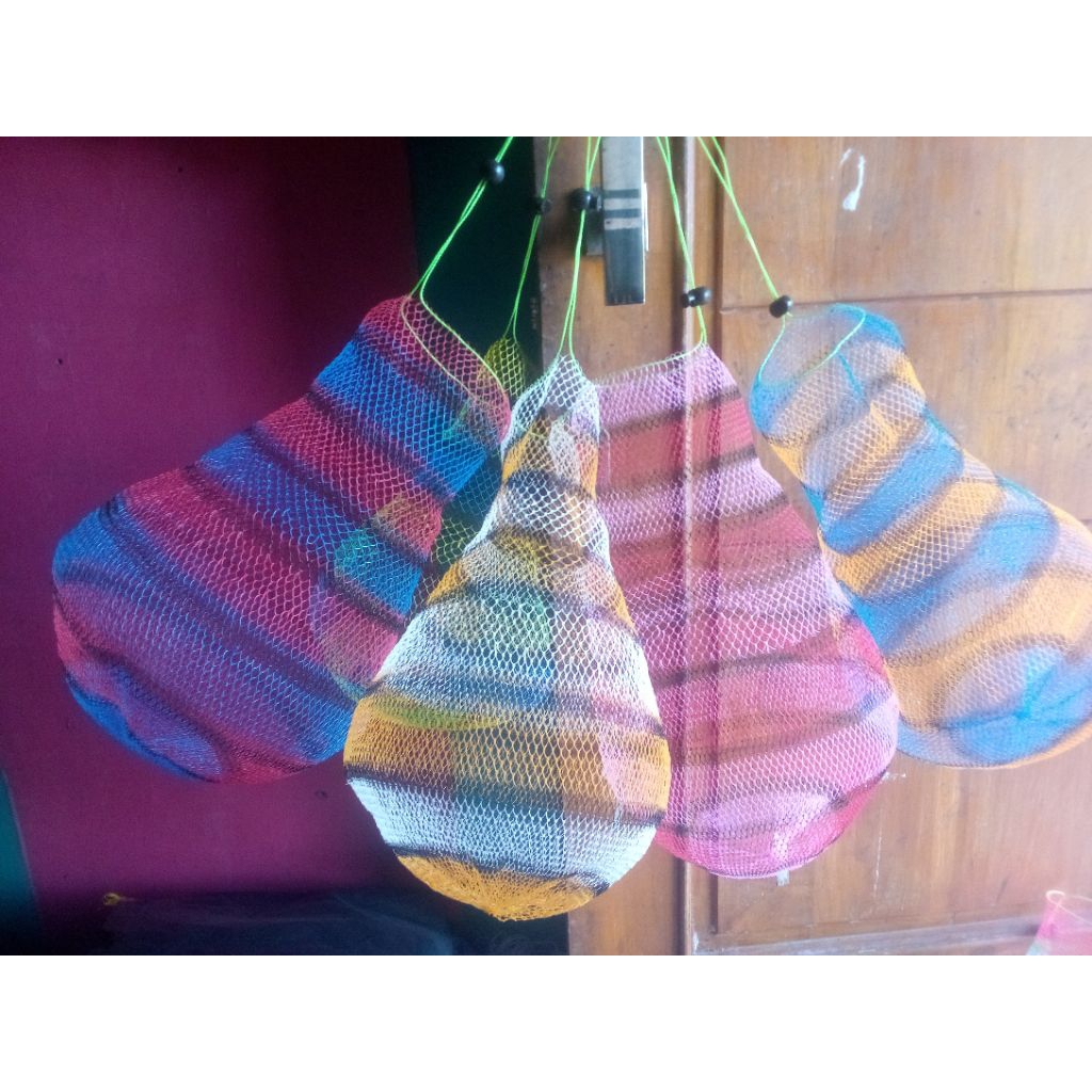 KOJA IKAN KORANG IKAN