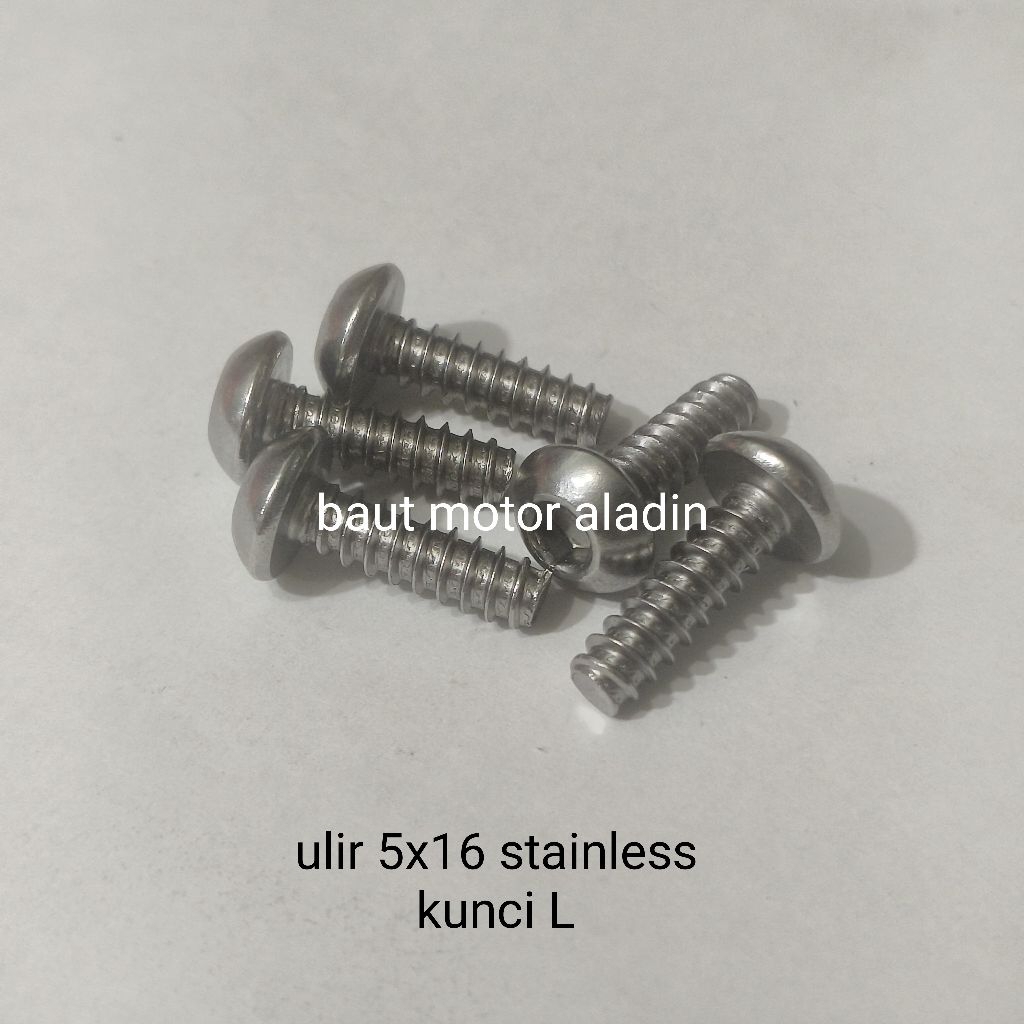 Baut body cacing 5x16 kunci L stainless (5 pcs)