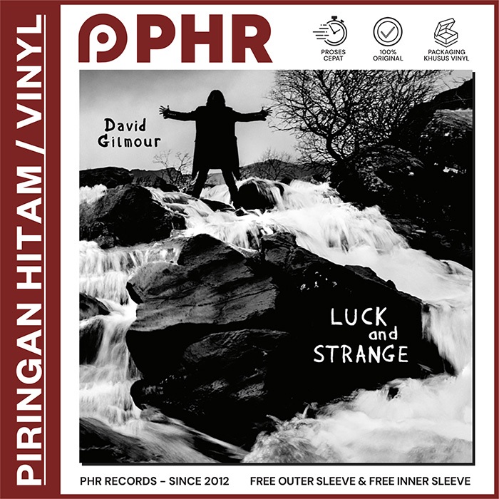 Vinyl DAVID GILMOUR - Luck and Strange [Piringan Hitam/LP/PH]