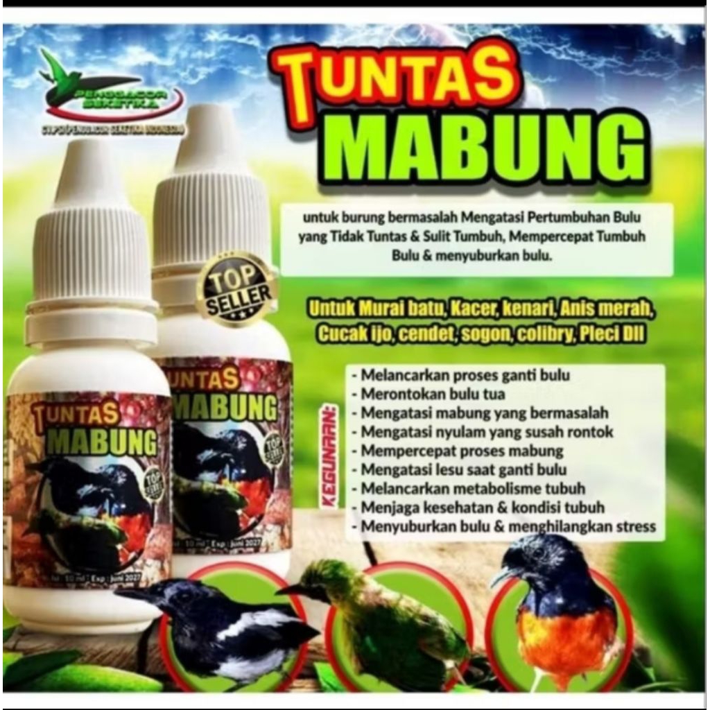 TUNTAS MABUNG VITAMIN BURUNG TUNTAS MABUNG MURAI KACER BMW