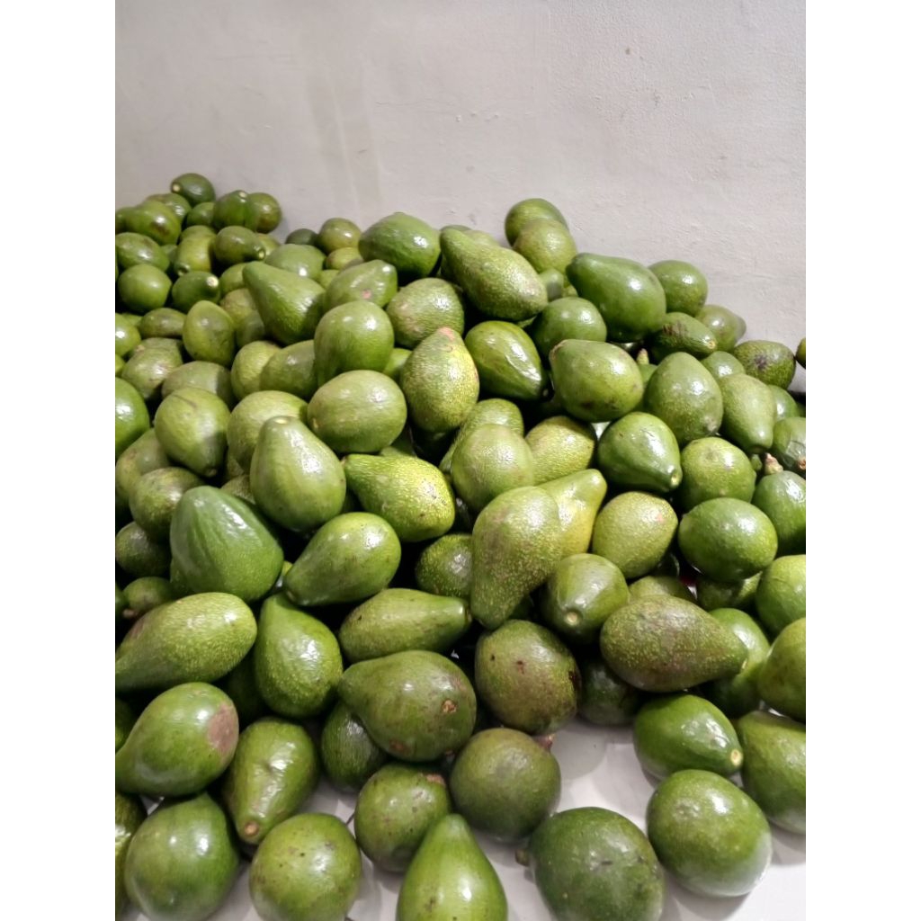 

Alpukat Mentega Mini 1 kg isi 6-7-8 buah lembut manis bisa COD