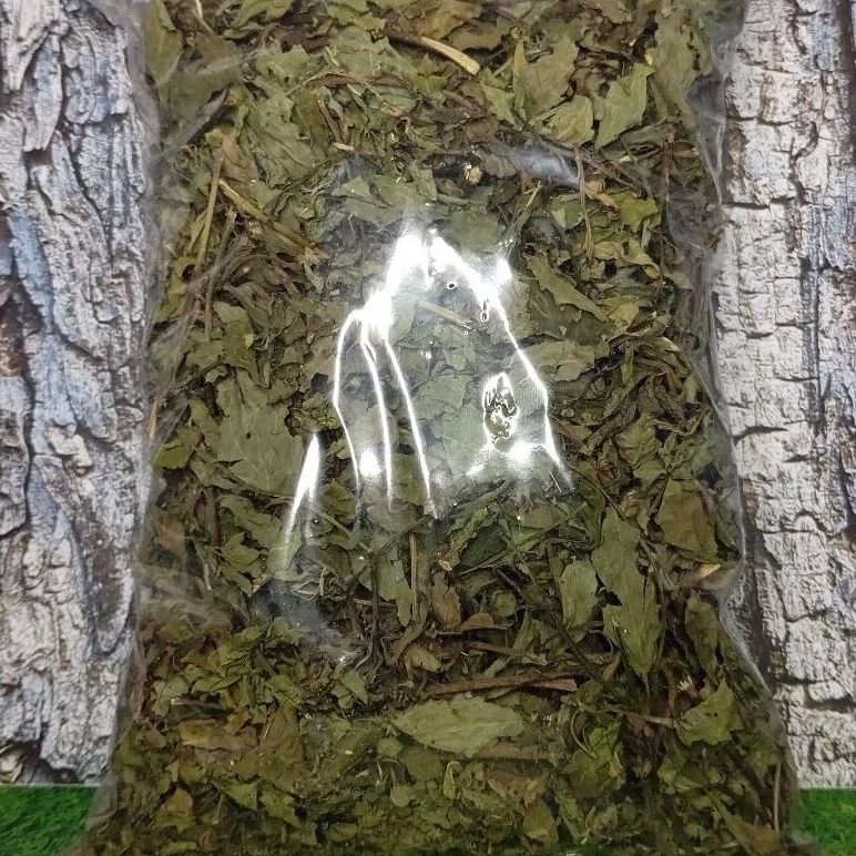 

Daun kumis kucing kering 100 gram