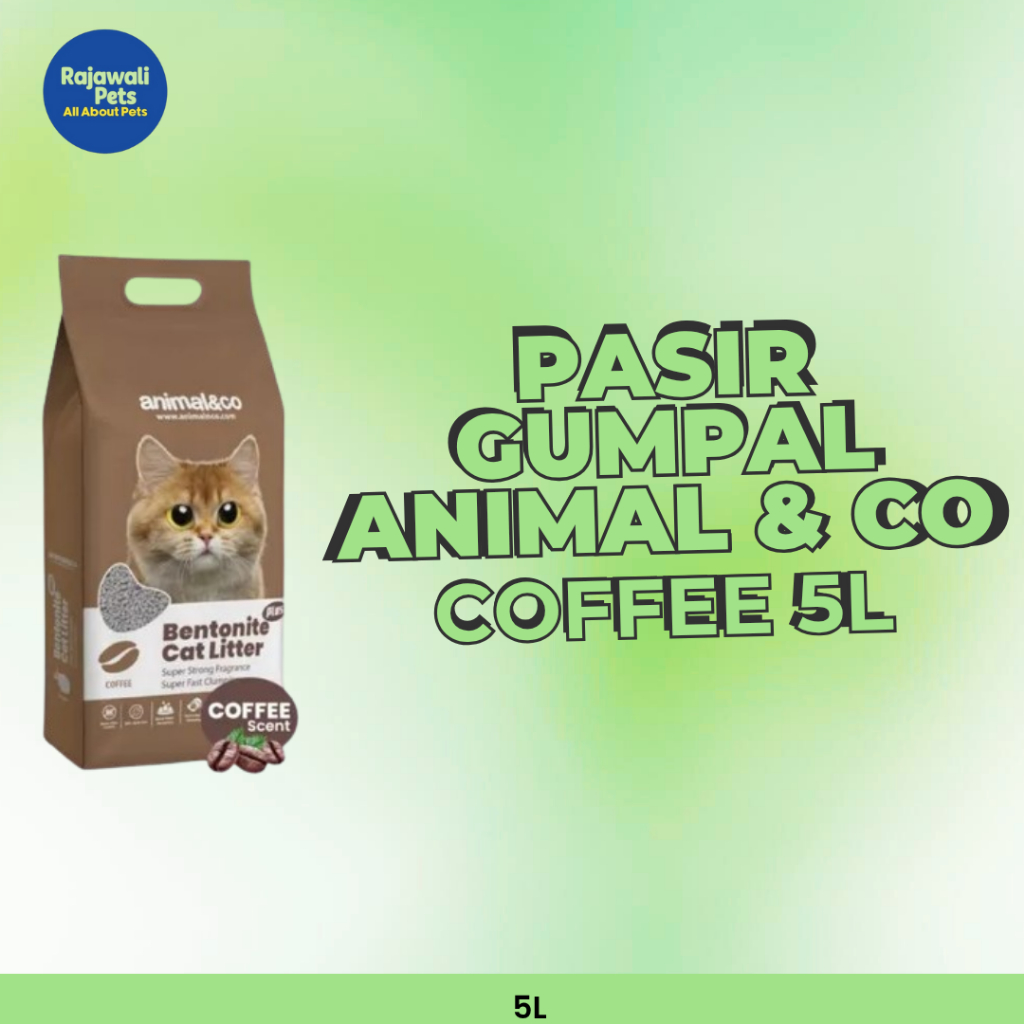 Rajawali Petshop Pasir Animal N Co Coffee 5L Pasir Gumpal Wangi Pasir Kucing ANC Kopi 5L