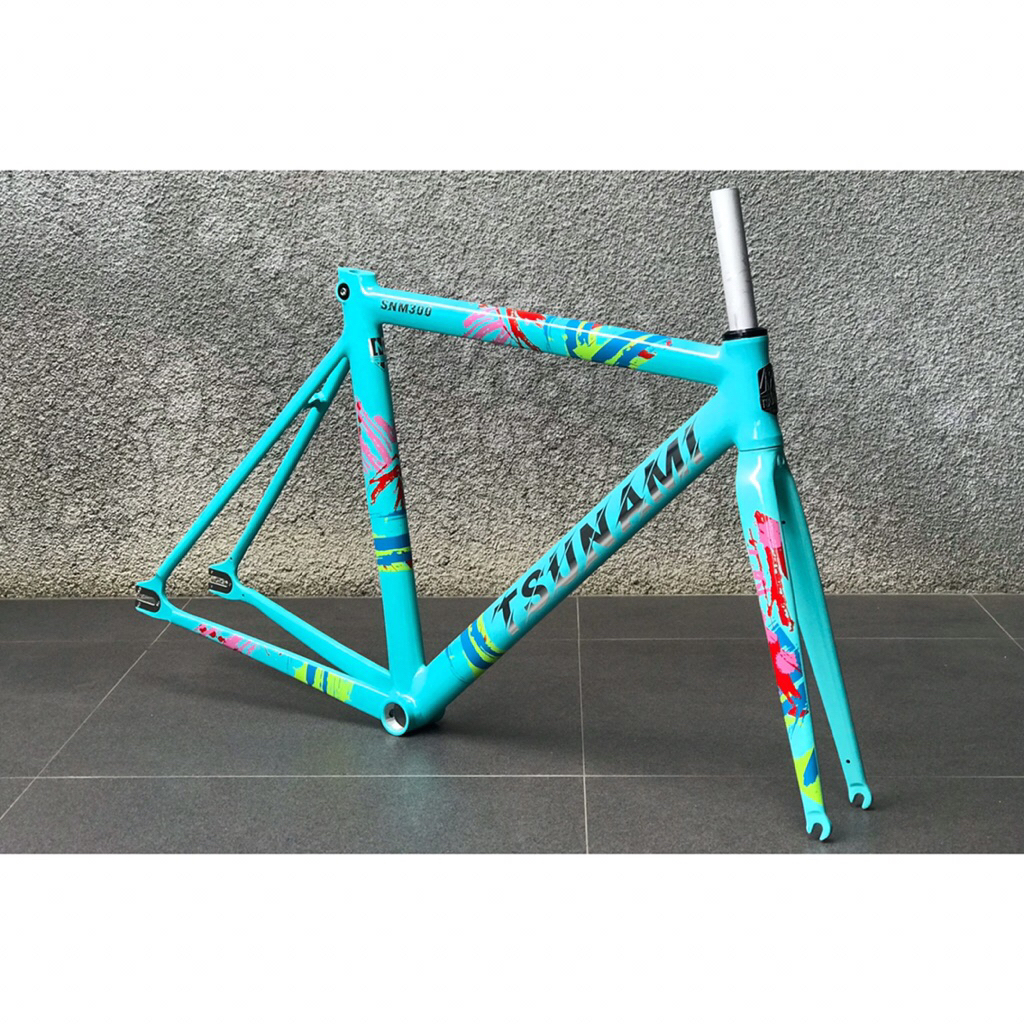 Frame tsunami snm300 bianchi