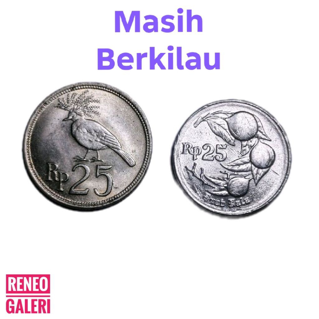 BerkilauPaket 2 Variasi Koin 25 Rupiah asli uang kuno Original logam Indonesia beda Generasi Koleksi