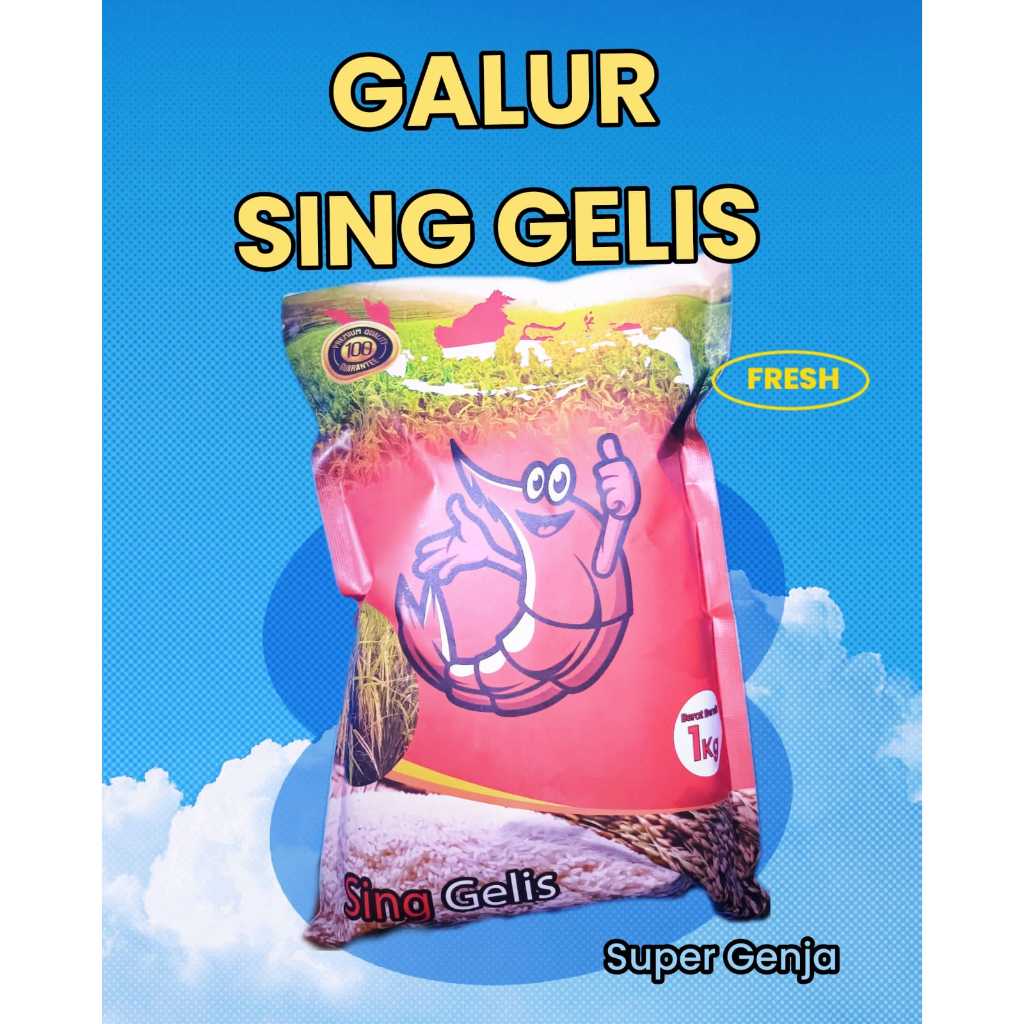 BENIH / BIBIT PADI SING GELIS (PADI GALUR NUSANTARA)