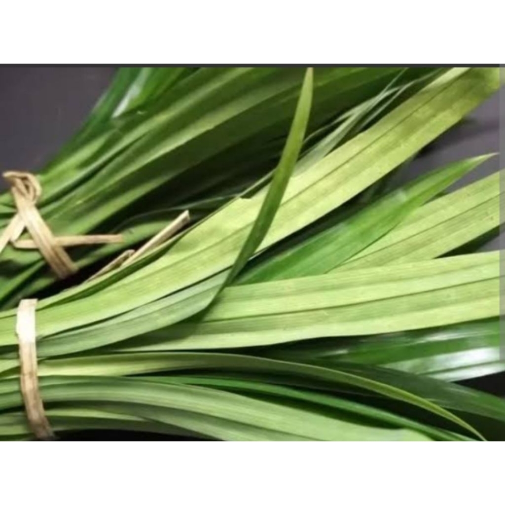 

daun pandan segar fresh wangi 500grm