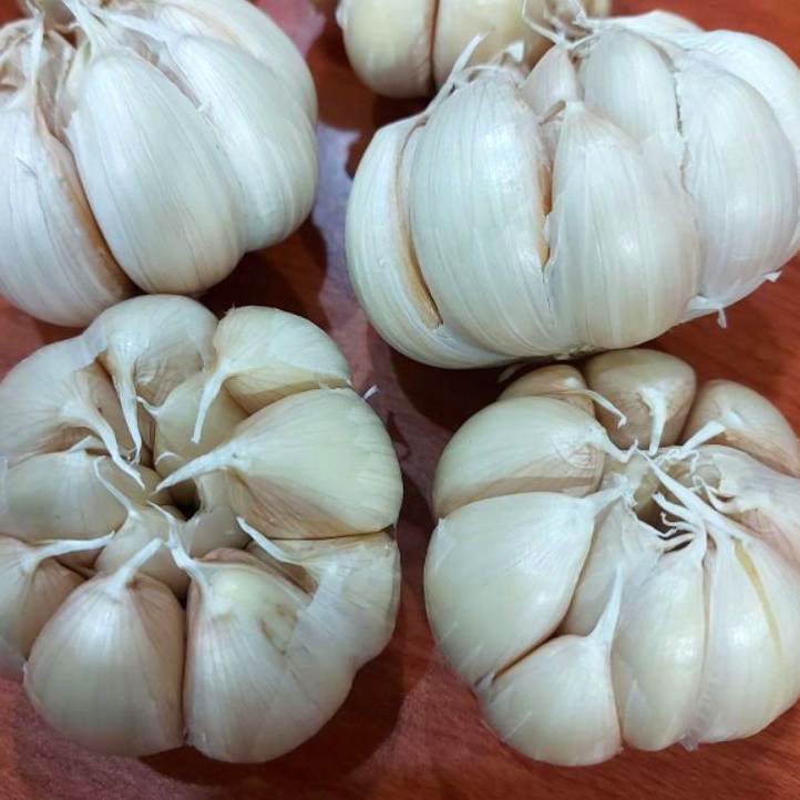 

Bawang Putih Honan 1 Kg – Siung Besar & Bersih | Rumsmart Premium