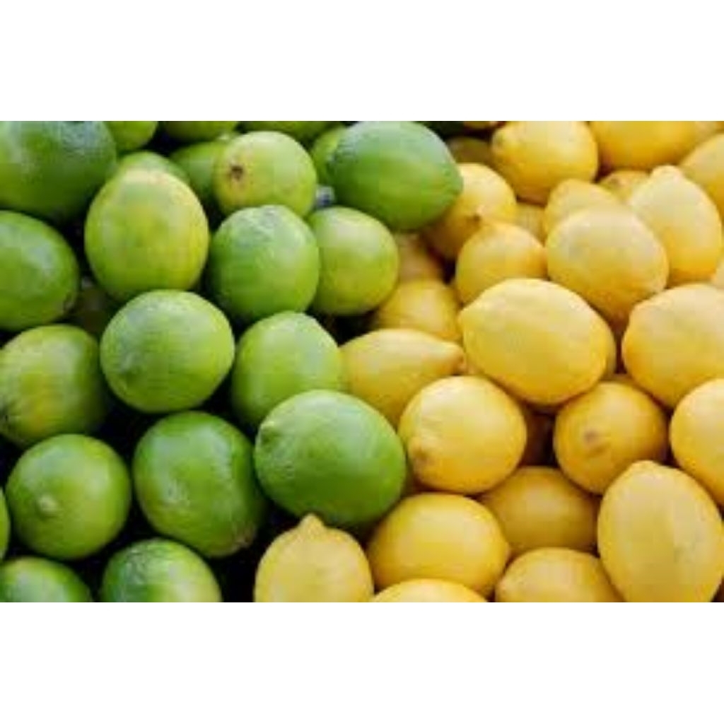 

jeruk lemon lokal segar