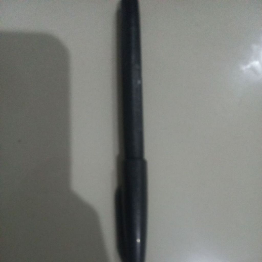 

pulpen