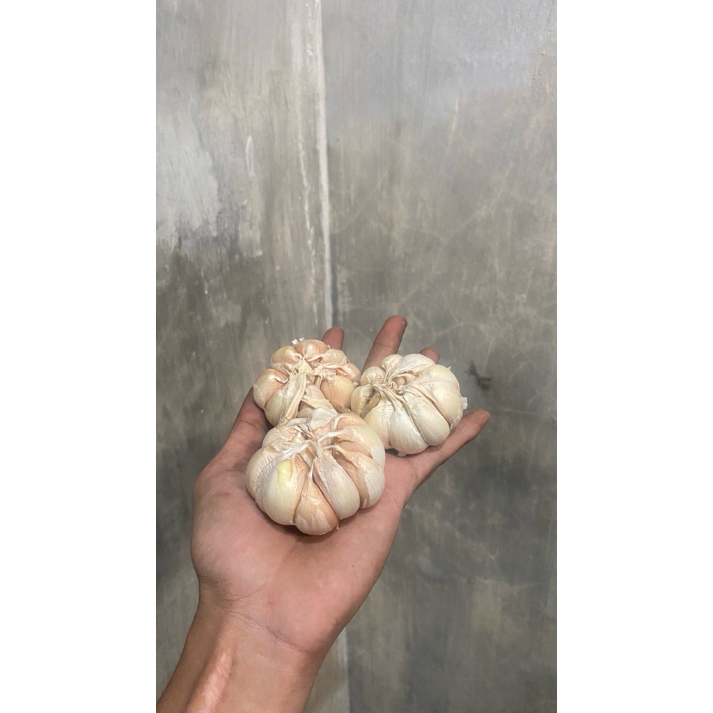 

BAWANG PUTIH SINCO BERSIH 1 kilo