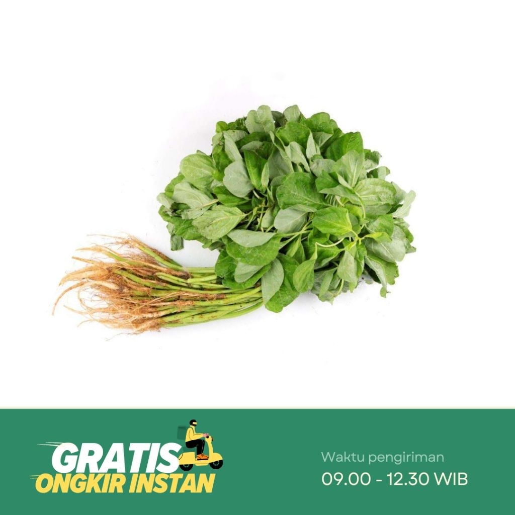 

Sayur Bayam Hijau