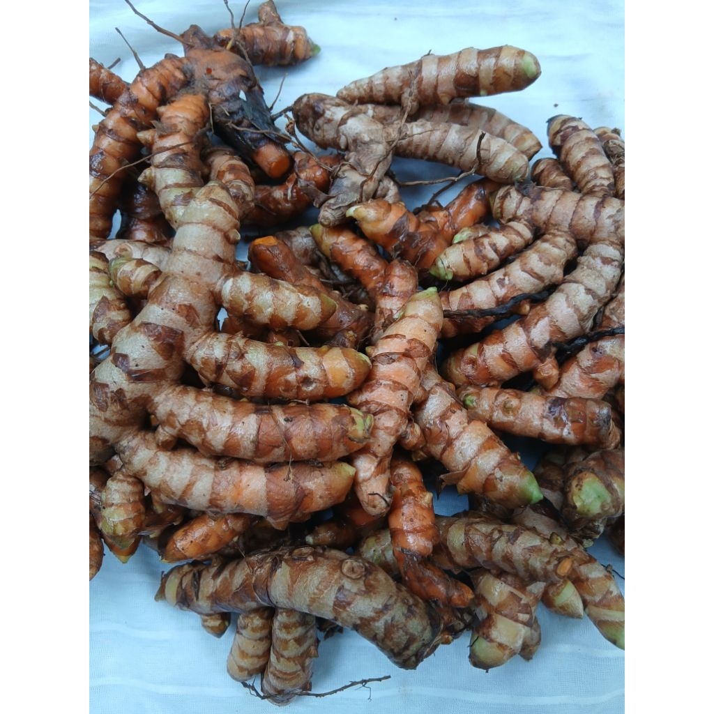 

kunyit kuning segar 1kg fresh segar/ bersih/ temu kuning diambil langsung dari kebun