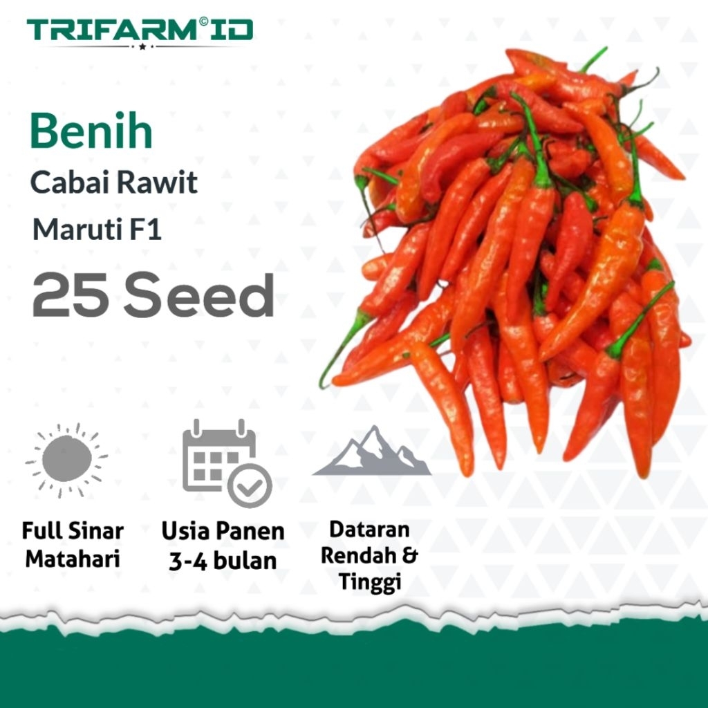 Benih Bibit Cabe Cabai Rawit Maruti F1 25 Biji Kemasan Ziplock
