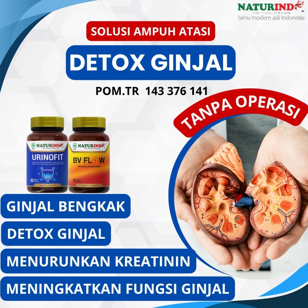 Obat Detox Ginjal Bengkak Penurun Kreatinin Ureum Cuci Darah Urinofit Herbal Naturindo