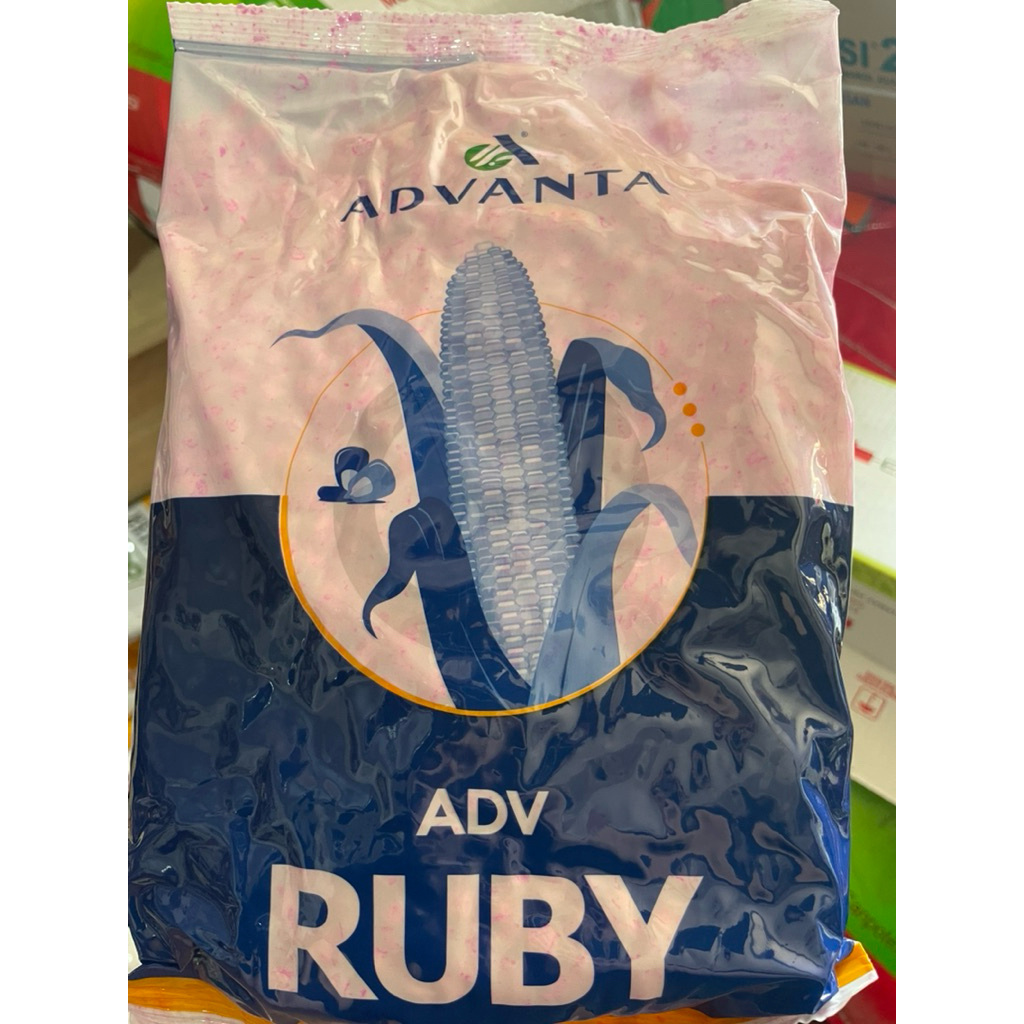 Benih Jagung ADV Ruby / ADV 777 kemasan 1kg Advanta