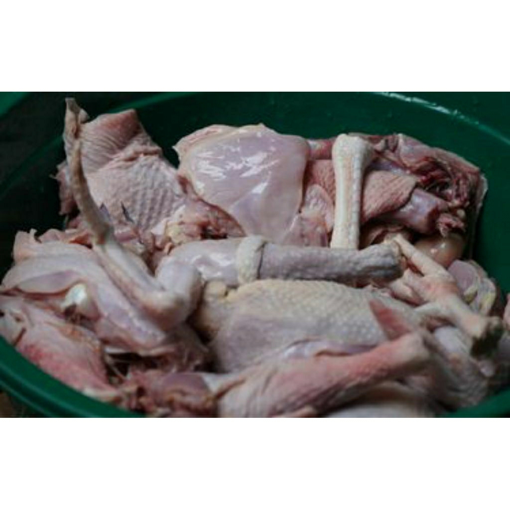 

DAGING AYAM KAMPUNG ASLI 100% FRESS