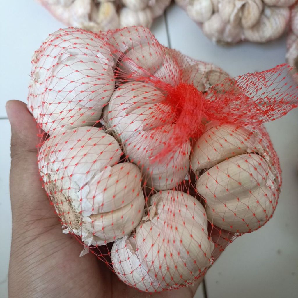 

Bawang putih Bersih dan fresh 500gr TERMURAH