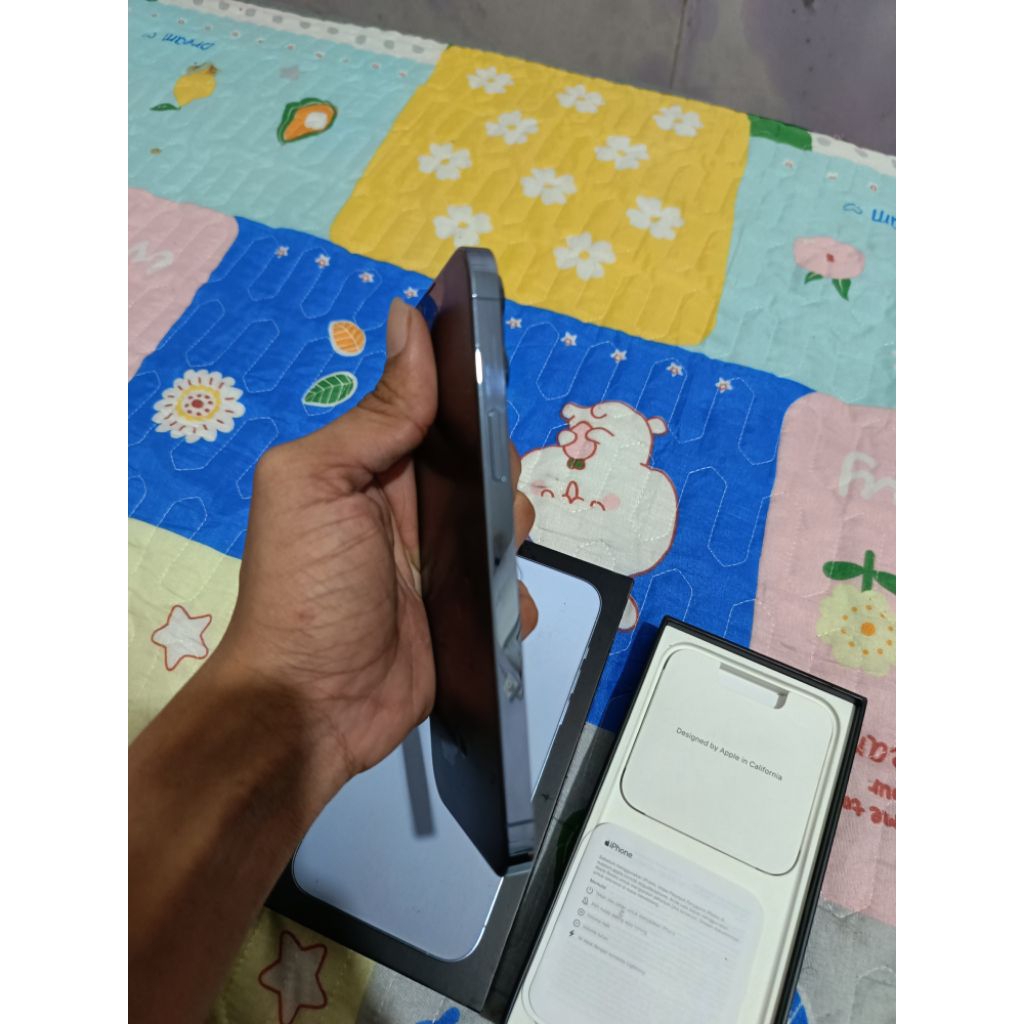 iphone 13 pro max 1tb