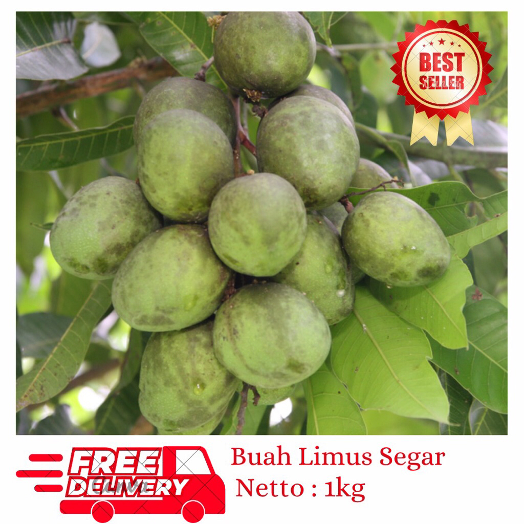 

Buah Limus Segar 1kg-Buah Bacang Pakel Segar