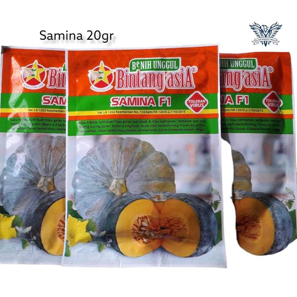 samina 20gr benih waluh labu kuning bintang asia