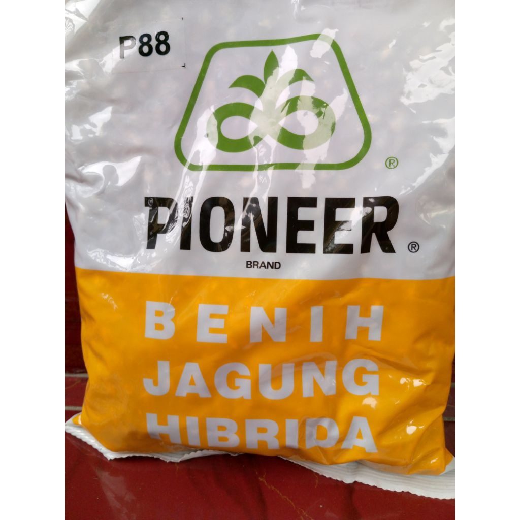 Benih Jagung Hibrida P88 Tentram