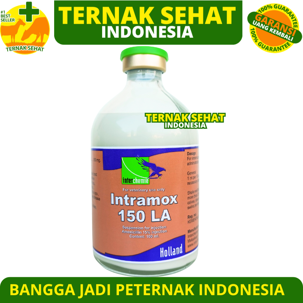 INTRAMOX 150 LA 100ML (ORANGE) - Obat Antibiotik Spektrum Luas Long Acting Hewan Sapi Babi - like Am